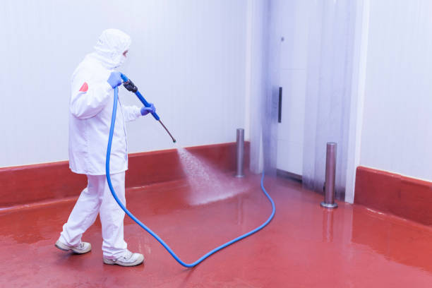 Best Patio and Deck Pressure Washing  in Port Orange, FL