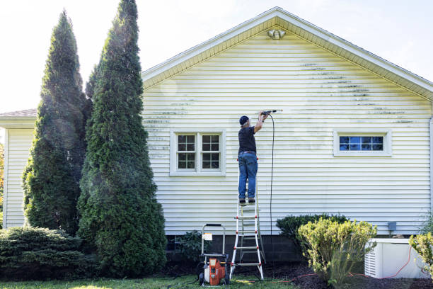 Best Building Exterior Washing  in Port Orange, FL